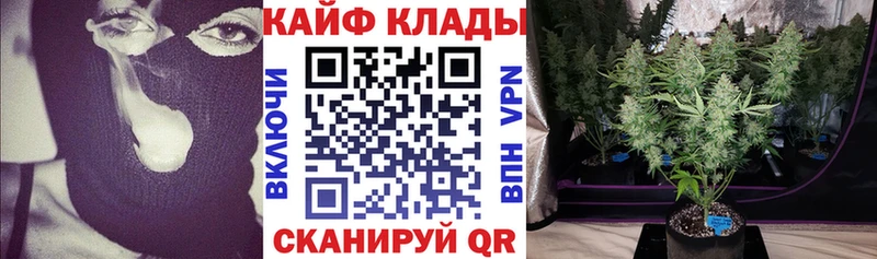 Виды наркотиков купить Черноголовка ГАШИШ  КОКАИН  ОМГ ОМГ зеркало  Конопля  МЕФ 