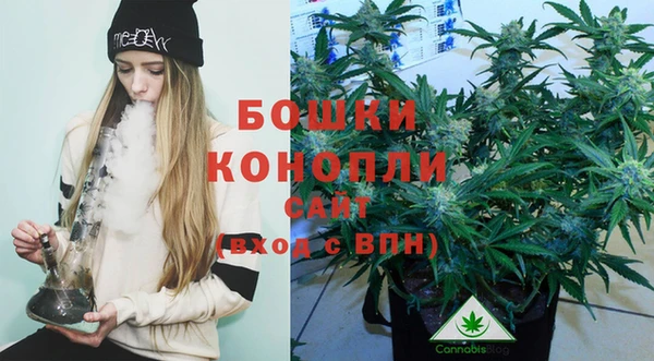 дурь Козельск